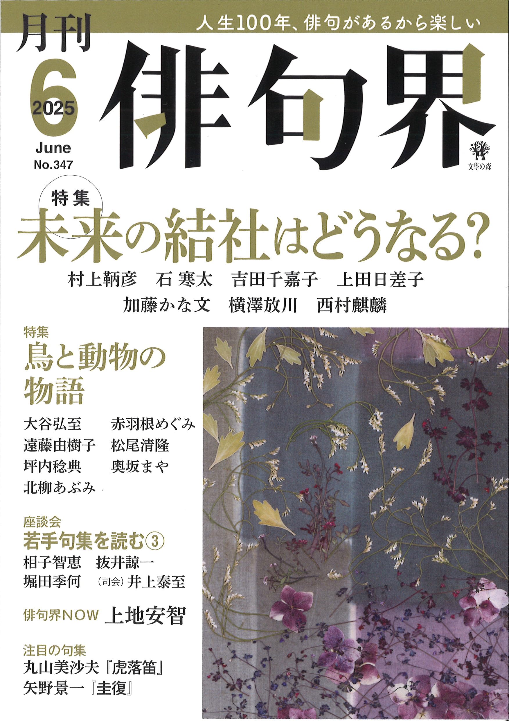 白桃 句集/文学の森/山田初枝（俳句）（単行本） Amazon.co.jp: 月刊 俳句界 2025年6月号 : 文學の森: 本